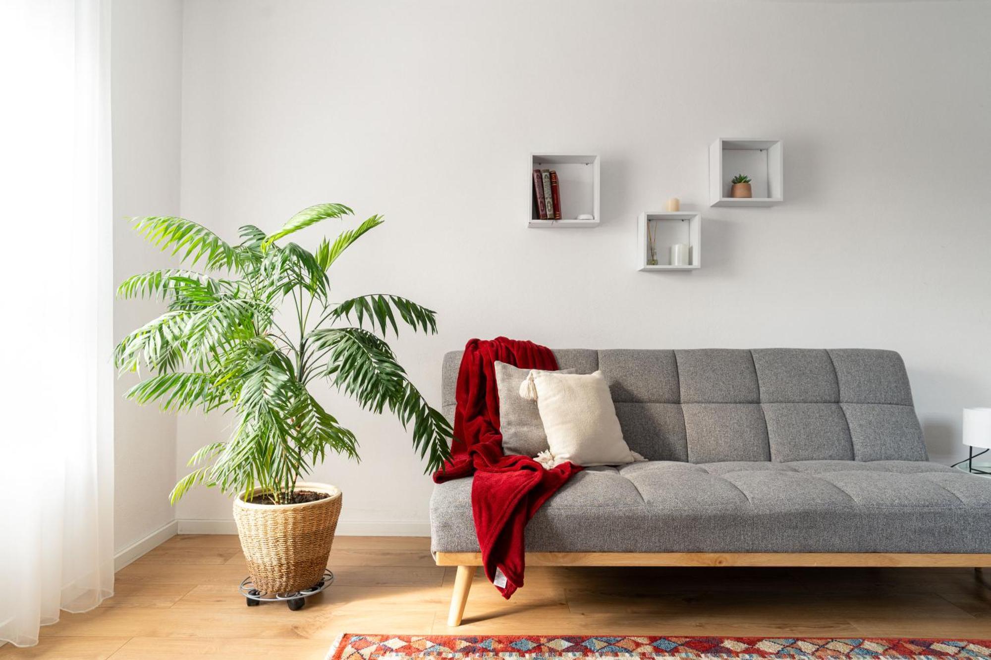 Urban Six Apartments Făgăraş Εξωτερικό φωτογραφία